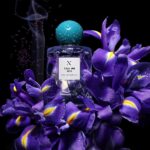Les Soeurs de Noé Call Me Iris aesthetic